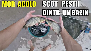 ÎNCERC să prind și să salvez sute de pești de la moarte - Ciortan, Caras, Somn, Biban, Oblete 🐟🐠