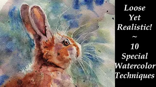 10 Special Effects Watercolor Techniques - Loose  Realistic Bunny Painting Demo for Beginners