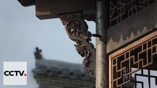Мастерство ремесленников Серия 6 Художественная резьба по дереву хойчжоуской школы
