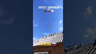 Николаевские голуби. Племя. 2022.г. Донецк. Борис. С. 🎥🕊️🇷🇺