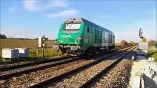 Trains SNCF TER Transilien Intercités et Divers Passage à Niveau PRESLES-EN-BRIE