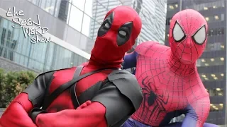 HIT ! Niespodzianka dla młodych  Deadpool & Spider-Man na weselu.