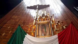 A los pies de la Virgen de Guadalupe • Basílica de Guadalupe