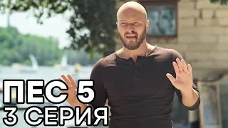 Сериал ПЕС - 5 сезон - 3 серия - ВСЕ СЕРИИ смотреть онлайн | СЕРИАЛЫ ICTV