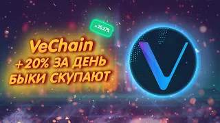 VeChain (VET) ВОССТАНАВЛИВАЕТ 5 МЛРД.$/ ЗАХВАТЫВАЕТ МИР ПРЕДПРИЯТИЙ!