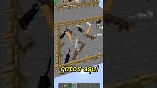 OS CREEPERS TEM MEDO DOS GATOS MESMO INVISIVEIS?