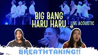 BIG BANG - HARU HARU ACOUSTIC LIVE 2016 IN JAPAN | LIVE REACTION