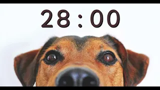 28 Minute Timer for School and Homework - Dog Bark Alarm Sound