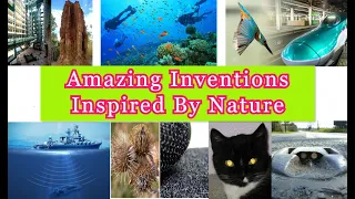 Biomimicry Inventions Inspired by Nature