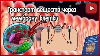 Физиология. Транспорт веществ через клеточную мембрану.