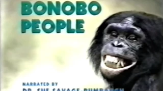 Bonobo People (Part 1 of 4)