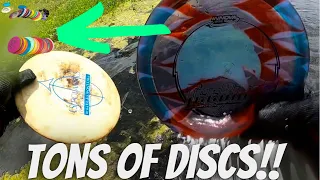 Diving In A Lake For Disc Golf Discs To Sell on eBay Episode 2
