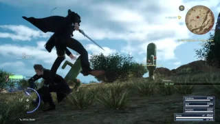 Where did you learn that Noct