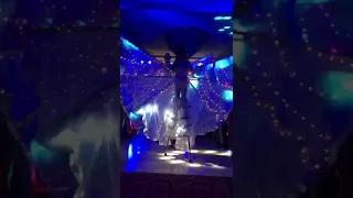 Led wings stilt walkers