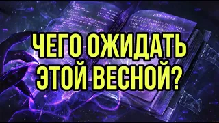 Чего ожидать этой весной?