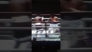 (SLUGFEST) Edwin Valero vs Vicente Mosquera Full Highlight TKO HD.