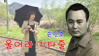 손인호-울어라 기타줄/(영상출연 가수 김수진)스타365