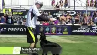 Flying Disc 2nd Place - Incredible Dog Challenge 2015 Huntington Beach, CA
