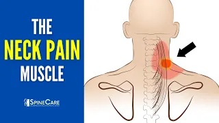 The Neck Pain Muscle (How to Release It for INSTANT RELIEF)