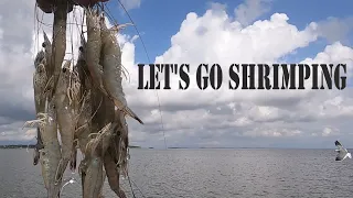 Commercial Shrimp Trawling off the coast of S.C. in a 22' aluminum G3/200lbs White Shrimp