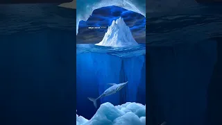 Звук кита 52 Герца