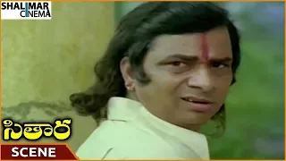 Sitara Movie || Rallapalli Hilarious Comedy Scene || Suman, Bhanupriya,Sarath Babu || Shalimarcinema