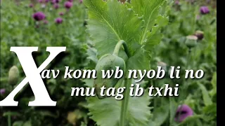 Xav kom wb nyob li no mu tag ib txhi (ເສບສົດ)​