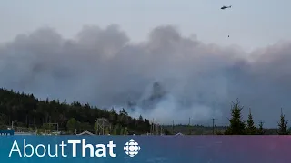 What's behind Nova Scotia's wildfires? | About That