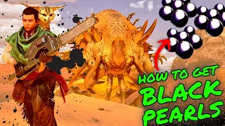 How To Get BLACK PEARLS on SCORCHED EARTH in Ark Survival Ascended!!!