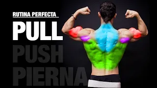 La Rutina Perfecta PULL / JALAR (PUSH | PULL | PIERNAS)