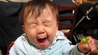 Babies Taste Sour Foods For The First Time