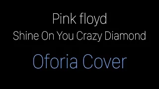 Pink Floyd - Shine On You Crazy Diamond (Oforia Cover)