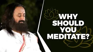 Why You Should Meditate Daily! (What Even Google Cannot Answer)