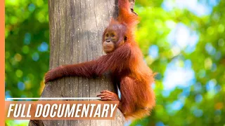 Sabah: Malaysian Borneo | Full Documentary