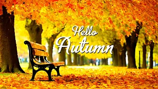 Autumn! Collection of the BEST Melodies that give you goosebumps 🍁 Music For the Soul