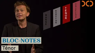 Bloc-notes - La voix de ténor