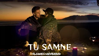 Tu Samne Duet (slowed+reverbed) Abhi Dutt & Sambhavi Thakur । Mind Relaxing Lofi Song