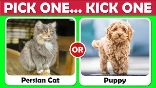 Pick One Kick One - Animals Edition 🐱🐶