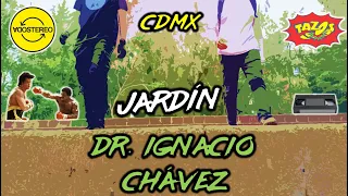 JARDIN IGNACIO CHAVEZ - Cacería en TIANGUIS / MERCADO de ANTIGUEDADES / FLEA MARKET CDMX Cuauhtémoc