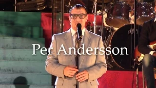 Per Andersson (Sten Njursten)