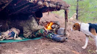 BUSHCRAFT shelter construction in the forest🔥🛖⛺️SURVIVAL CAMP🐶