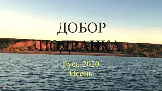 Добор подранка Охота на гуся 2020 осень