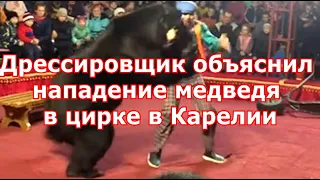 Дрессировщик объяснил нападение медведя в цирке в Карелии