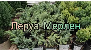 04.05.21.ЛЕРУА МЕРЛЕН.. Открытие весеннего сезона..