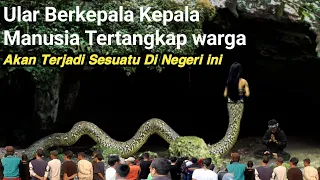 NYATA TERBUKTI..!! Akhirnya Tertangkap Warga Ular Siluman penunggu sungai purba bukan mitos