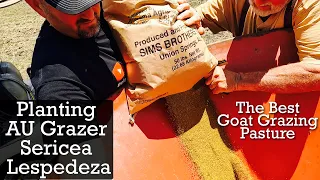 The Best Goat Grazing Pasture | Au Grazer Sericea Lespedeza  | Goat Graxing Pasture