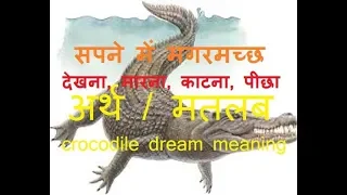 सपने में मगरमच्छ देखना क्या मतलब – dream में मगरमच्छ (crocodile)मारना, काटना, पीछा करना, पालना  अर्थ