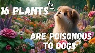 The Most Common Deadly Plants for Dogs