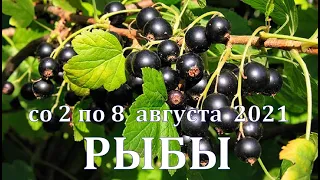 РЫБЫ Со 2 ПО 8 АВГУСТА 2021. ТАРО ПРОГНОЗ.  РАБОТА ДЕНЬГИ ЛЮБОВЬ ЗДОРОВЬЕ.  РАСКЛАД НА НЕДЕЛЮ.