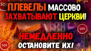 Берегитесь этих "христиан"! Они разрушают церкви! Мало кто их замечает. Христианские проповеди